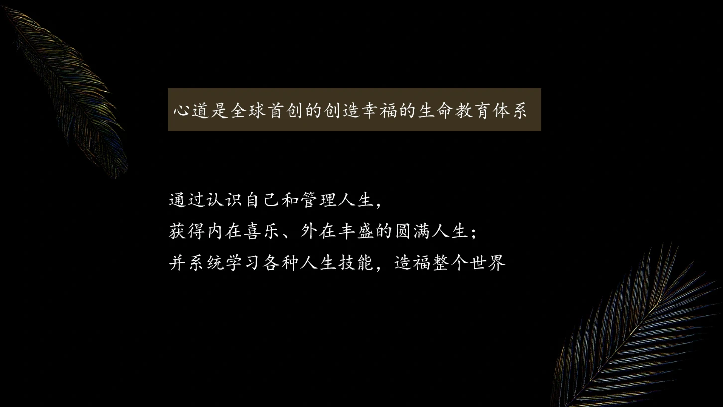 首页轮播图2